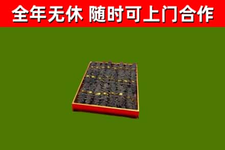 崇明区回收海参